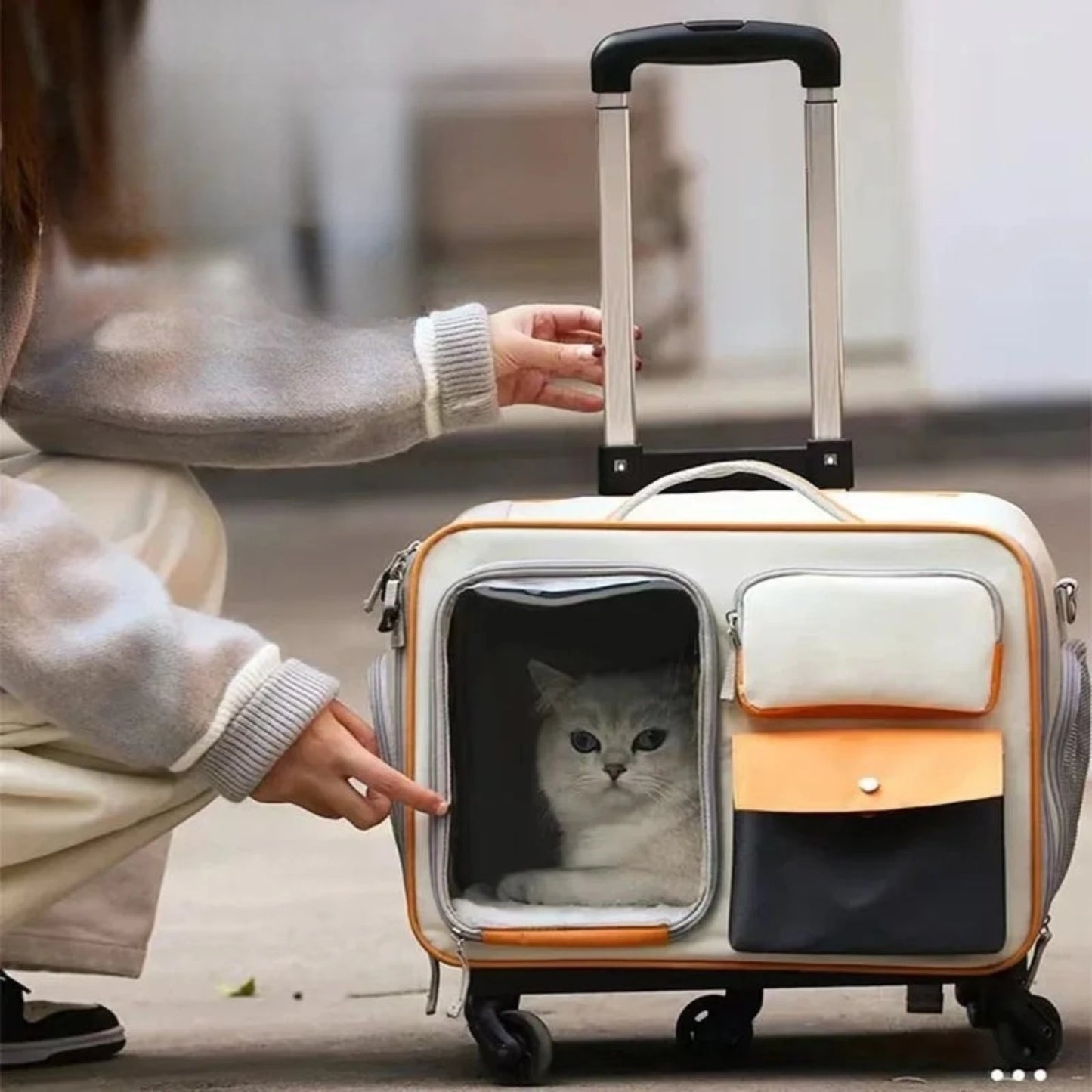 PetVoyage – Maleta Portátil para Perros y Gatos
