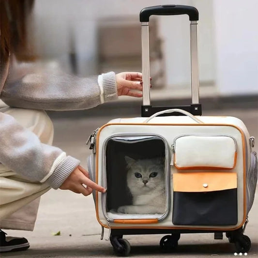 PetVoyage – Maleta Portátil para Perros y Gatos