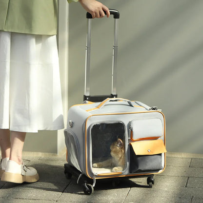 PetVoyage – Maleta Portátil para Perros y Gatos